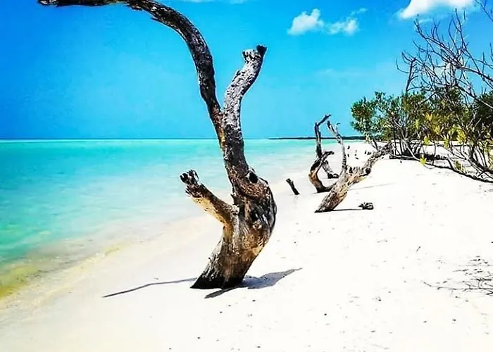 Pensión La Aldea Playa del Carmen